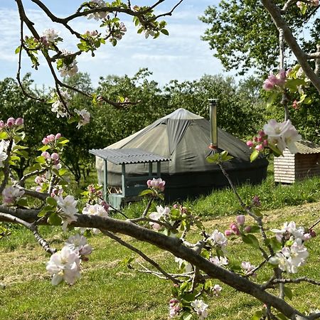 فيلا Dragon Orchard Retreat ليدبوري المظهر الخارجي الصورة