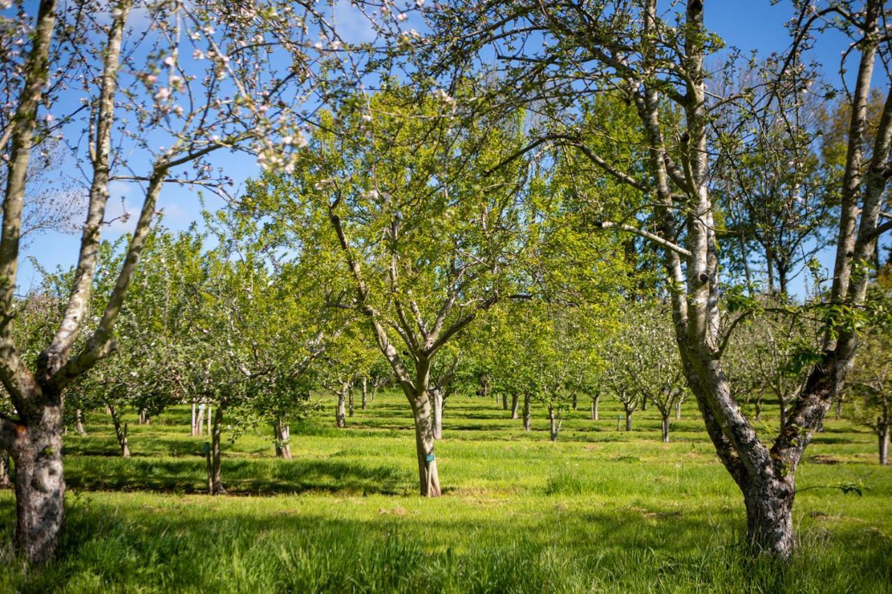 فيلا Dragon Orchard Retreat ليدبوري المظهر الخارجي الصورة