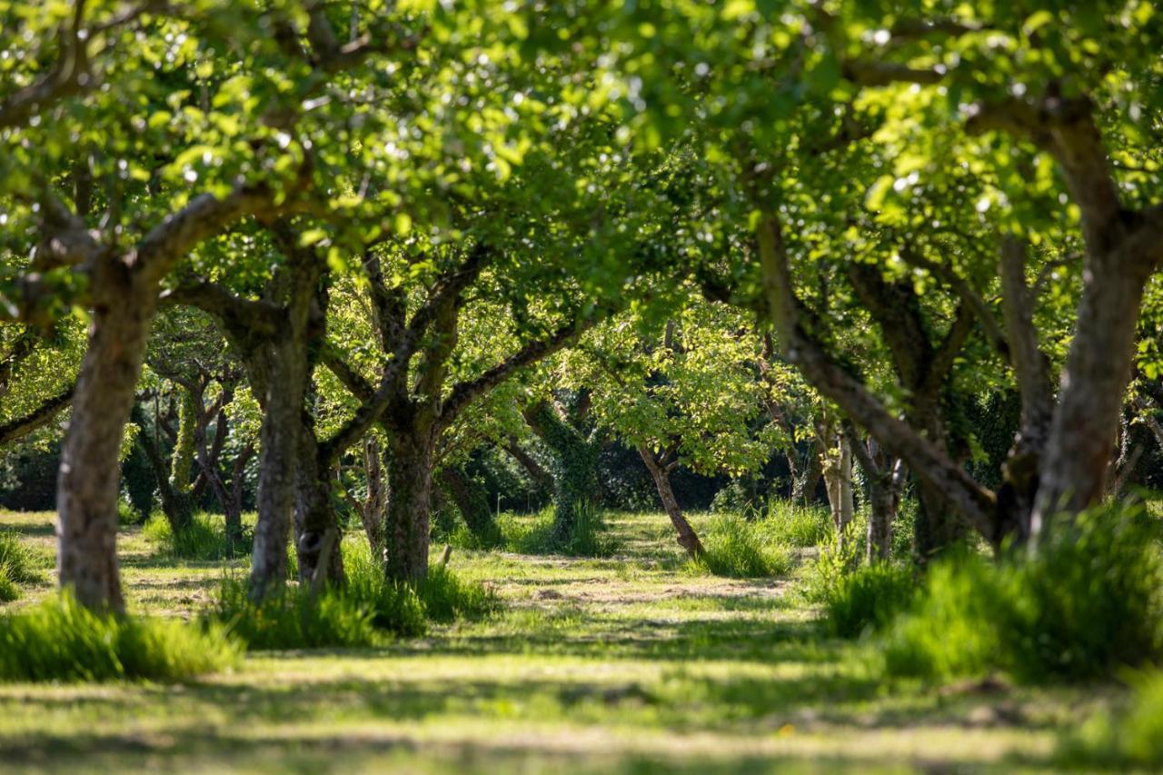 فيلا Dragon Orchard Retreat ليدبوري المظهر الخارجي الصورة
