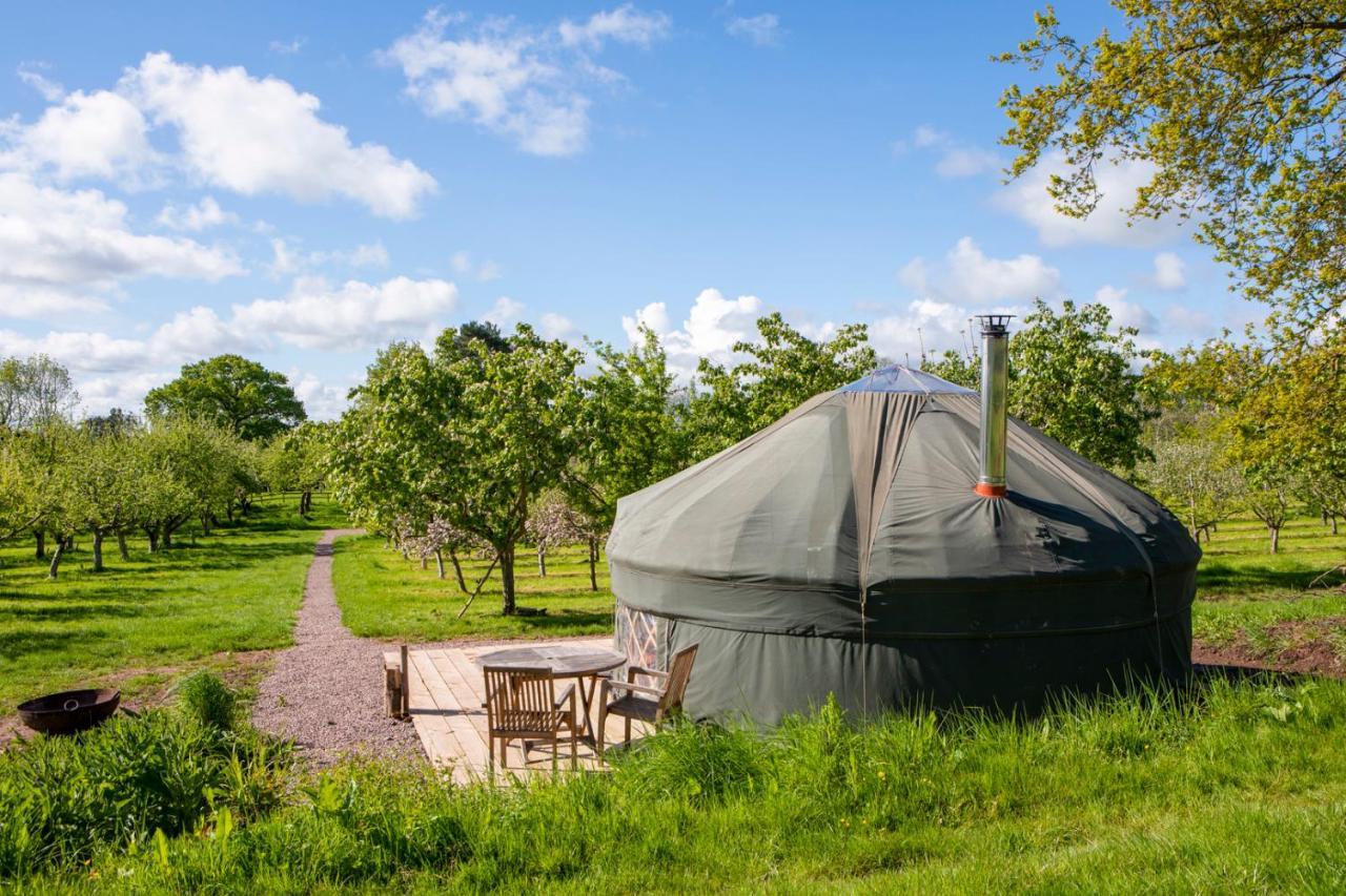 فيلا Dragon Orchard Retreat ليدبوري المظهر الخارجي الصورة