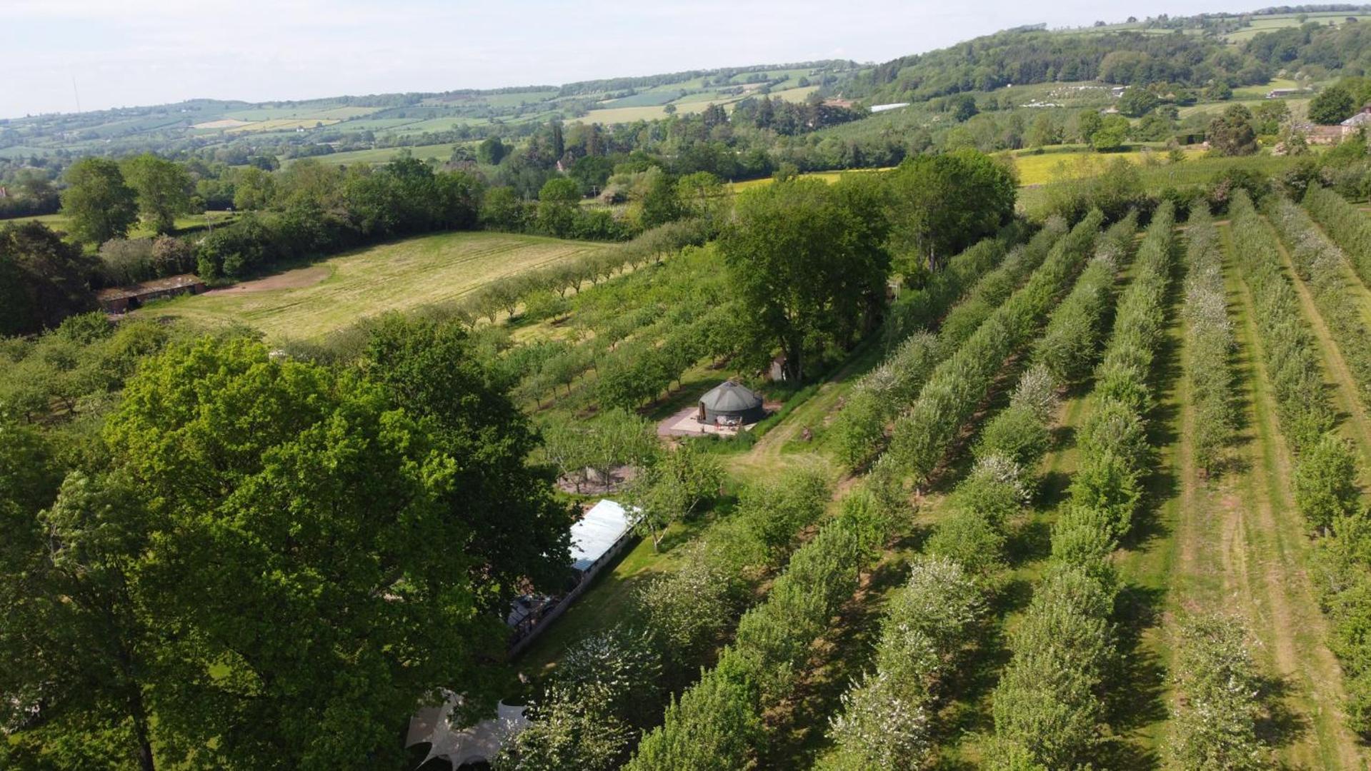 فيلا Dragon Orchard Retreat ليدبوري المظهر الخارجي الصورة