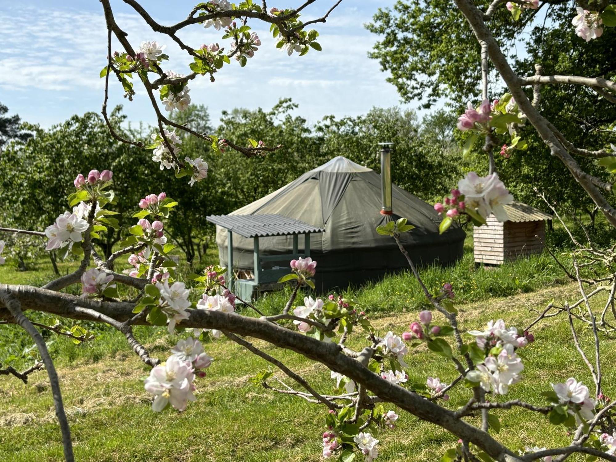 فيلا Dragon Orchard Retreat ليدبوري المظهر الخارجي الصورة